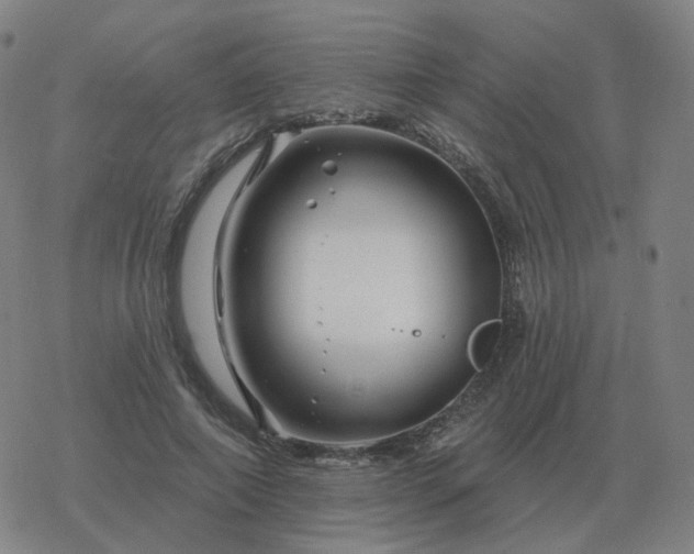 X0000068890690200605122034