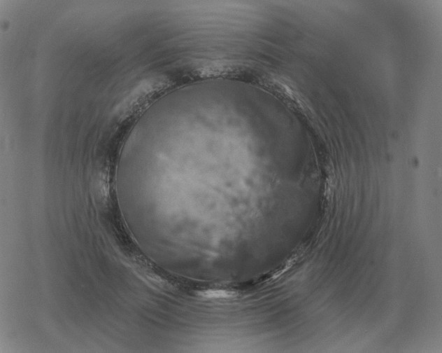 X0000068890691200605122034