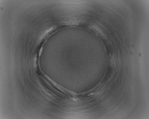 X0000068890692200605122034