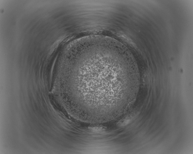 X0000068890693200605122034