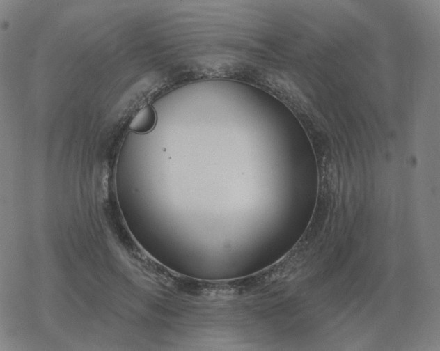 X0000068890694200605122034