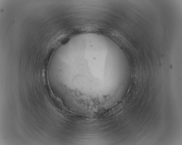 X0000068890696200605122034