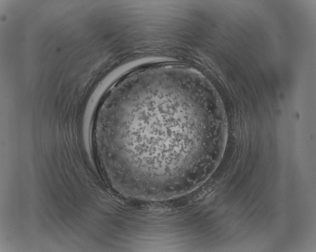 X0000068890697200605122034