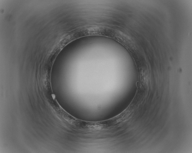 X0000068890698200605122034