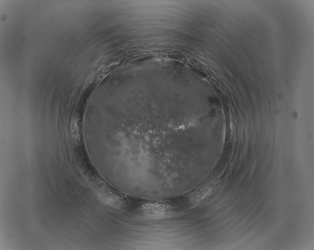 X0000068890699200605122034