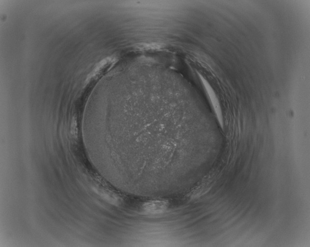 X0000068890700200605122034