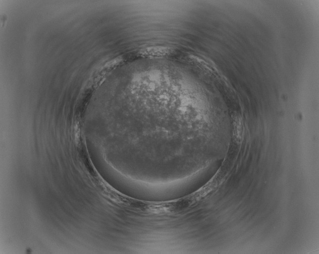 X0000068890701200605122034