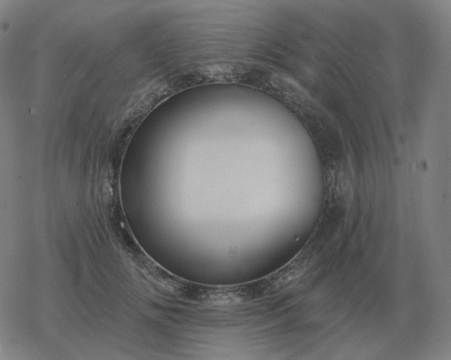 X0000068890702200605122034