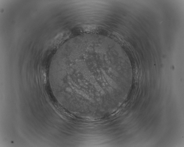 X0000068890703200605122034