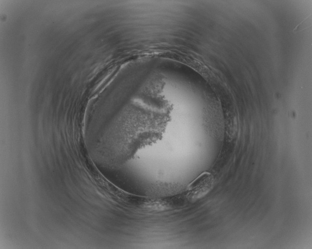 X0000068890704200605122034