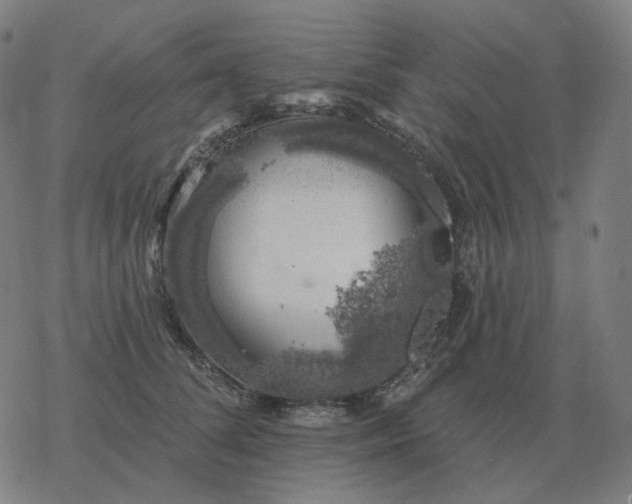 X0000068890708200605122034