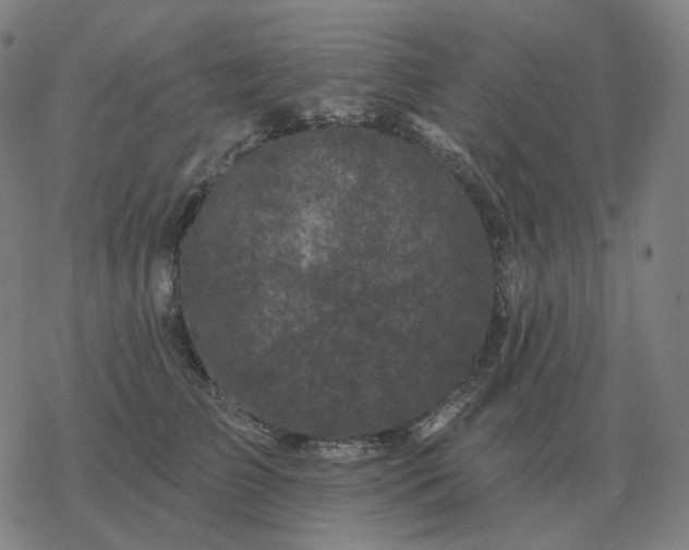 X0000068890709200605122034