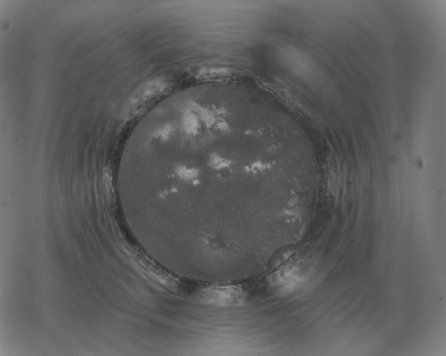 X0000068890711200605122034