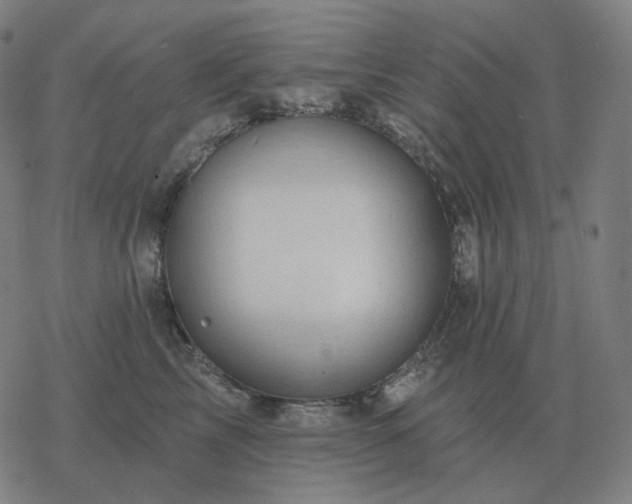 X0000068890713200605122034