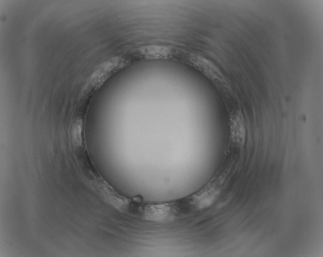 X0000068890717200605122034