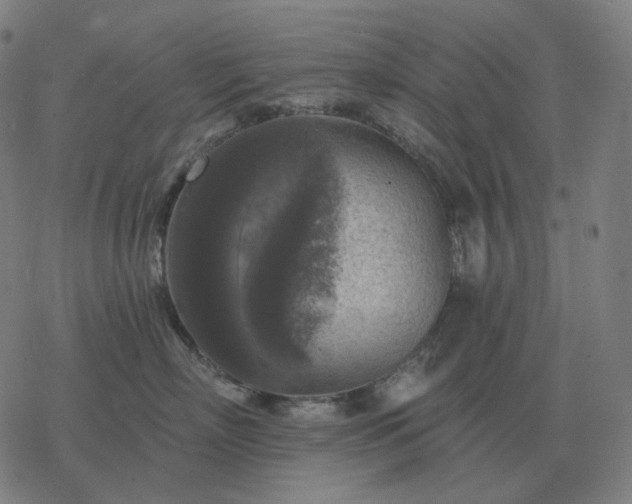 X0000068890718200605122034