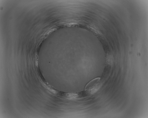 X0000068890719200605122034