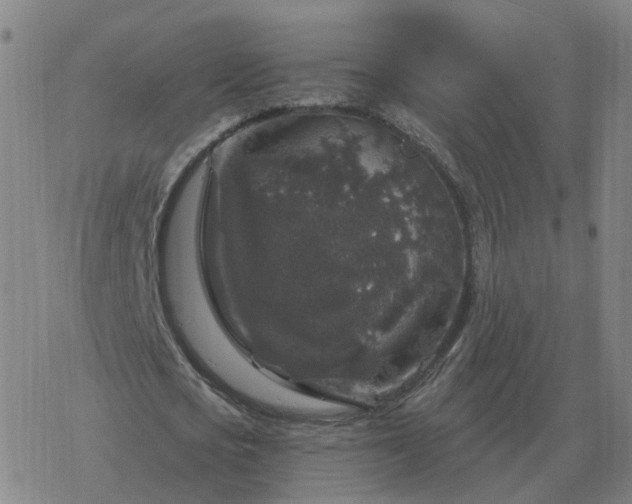 X0000068890721200605122033