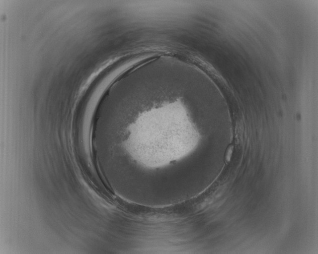 X0000068890722200605122033