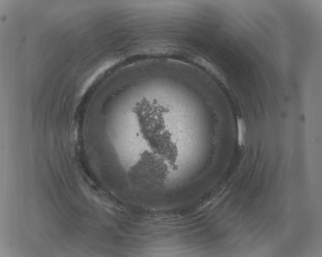 X0000068890723200605122033