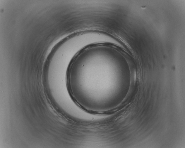 X0000068890724200605122033