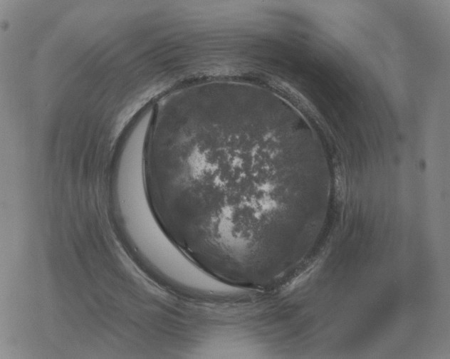 X0000068890725200605122033