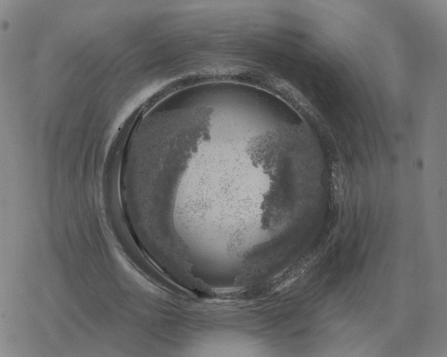 X0000068890726200605122033