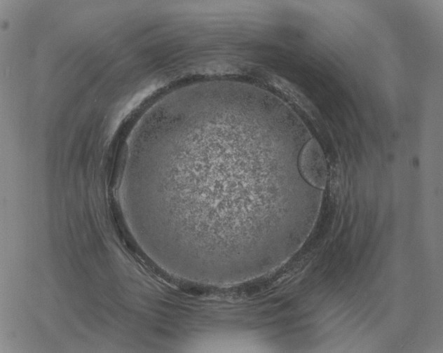 X0000068890727200605122033