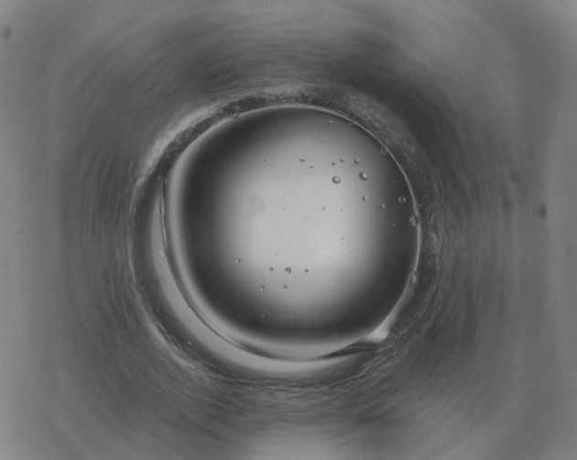 X0000068890728200605122033