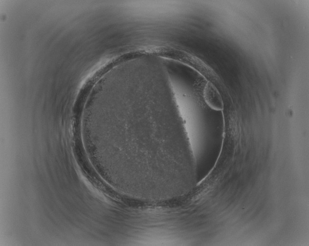 X0000068890730200605122033