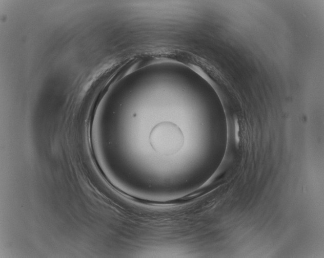 X0000068890731200605122033