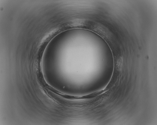 X0000068890732200605122033