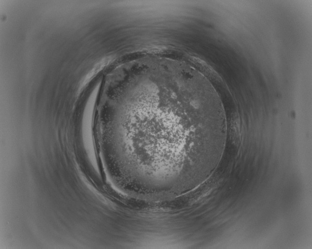 X0000068890734200605122033