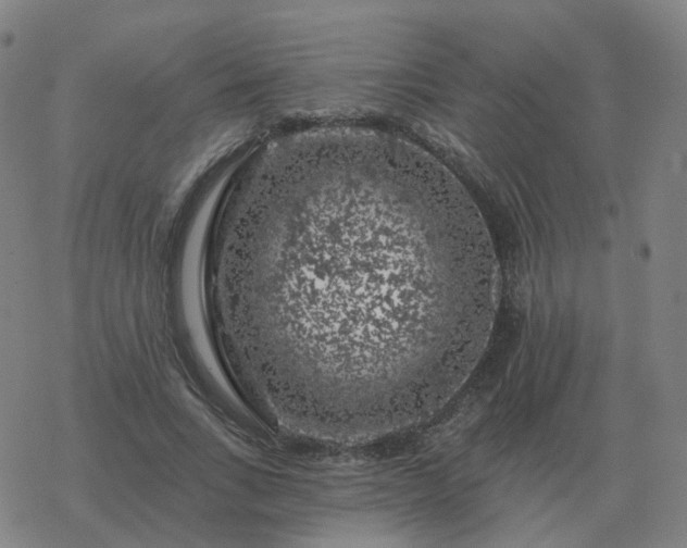 X0000068890735200605122033