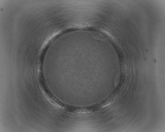 X0000068890736200605122033