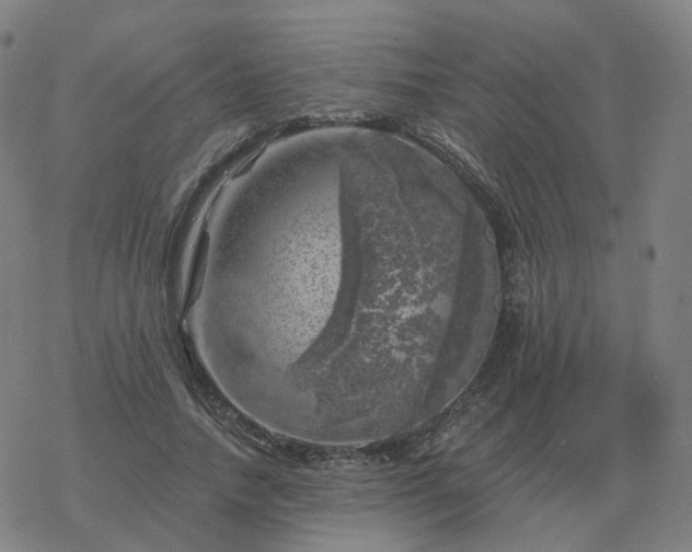 X0000068890738200605122033