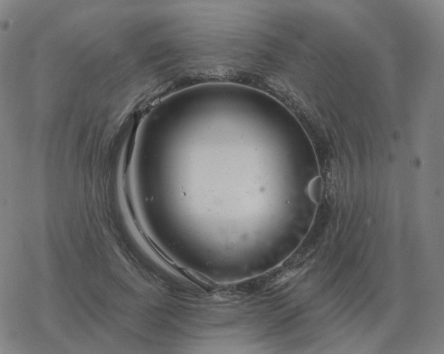 X0000068890739200605122033