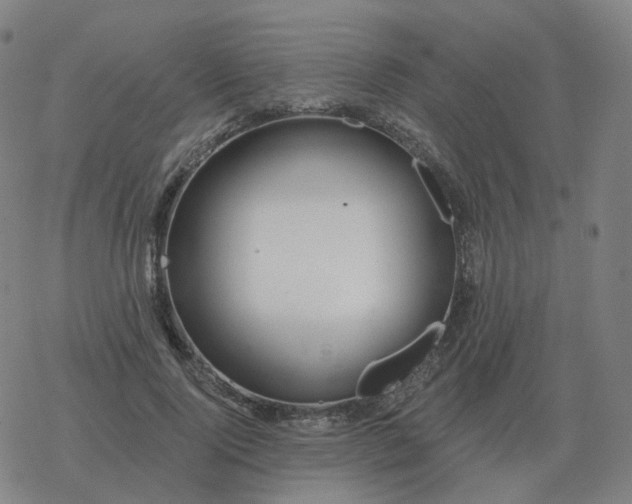 X0000068890740200605122033