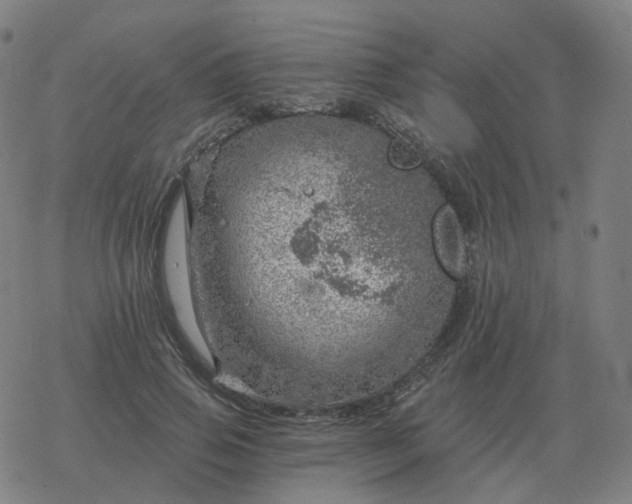 X0000068890741200605122033