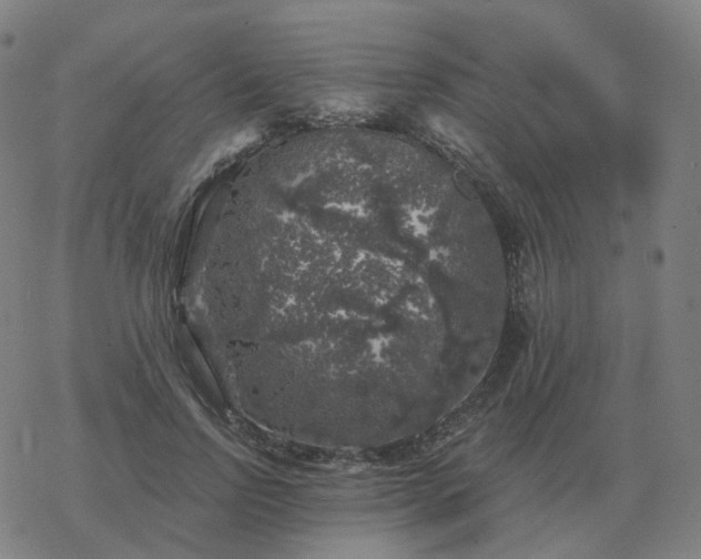 X0000068890742200605122033