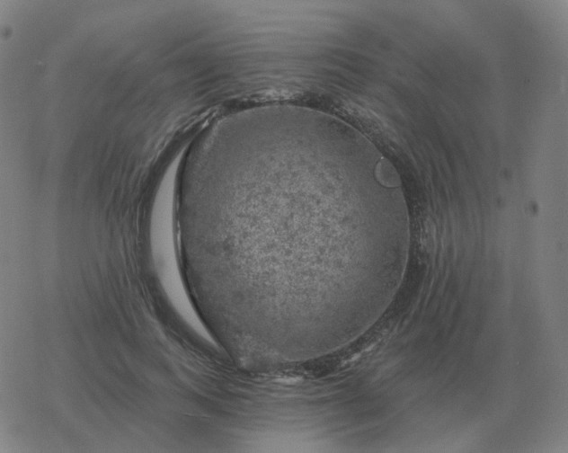 X0000068890743200605122033