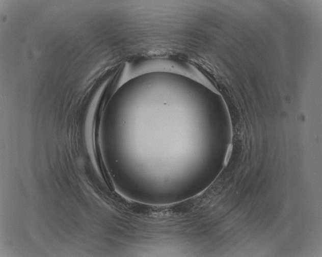 X0000068890744200605122033