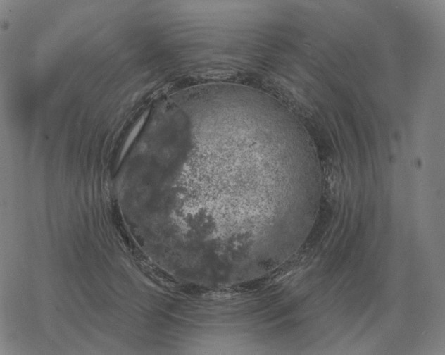 X0000068890745200605122033