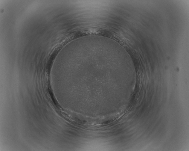 X0000068890747200605122033