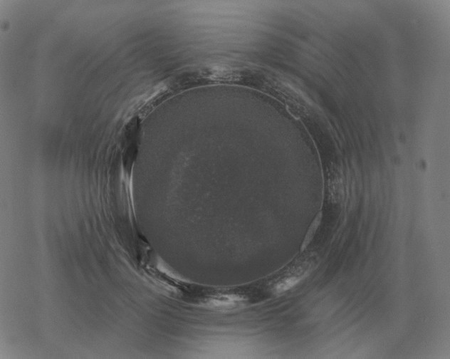 X0000068890748200605122033