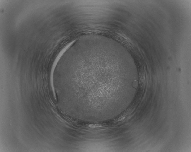 X0000068890749200605122033