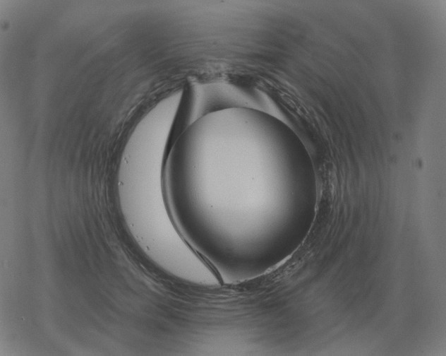 X0000068890750200605122033