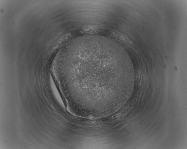 X0000068890751200605122033