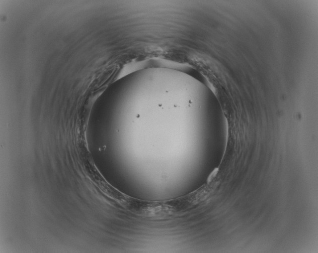 X0000068890752200605122033