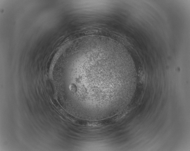 X0000068890753200605122033